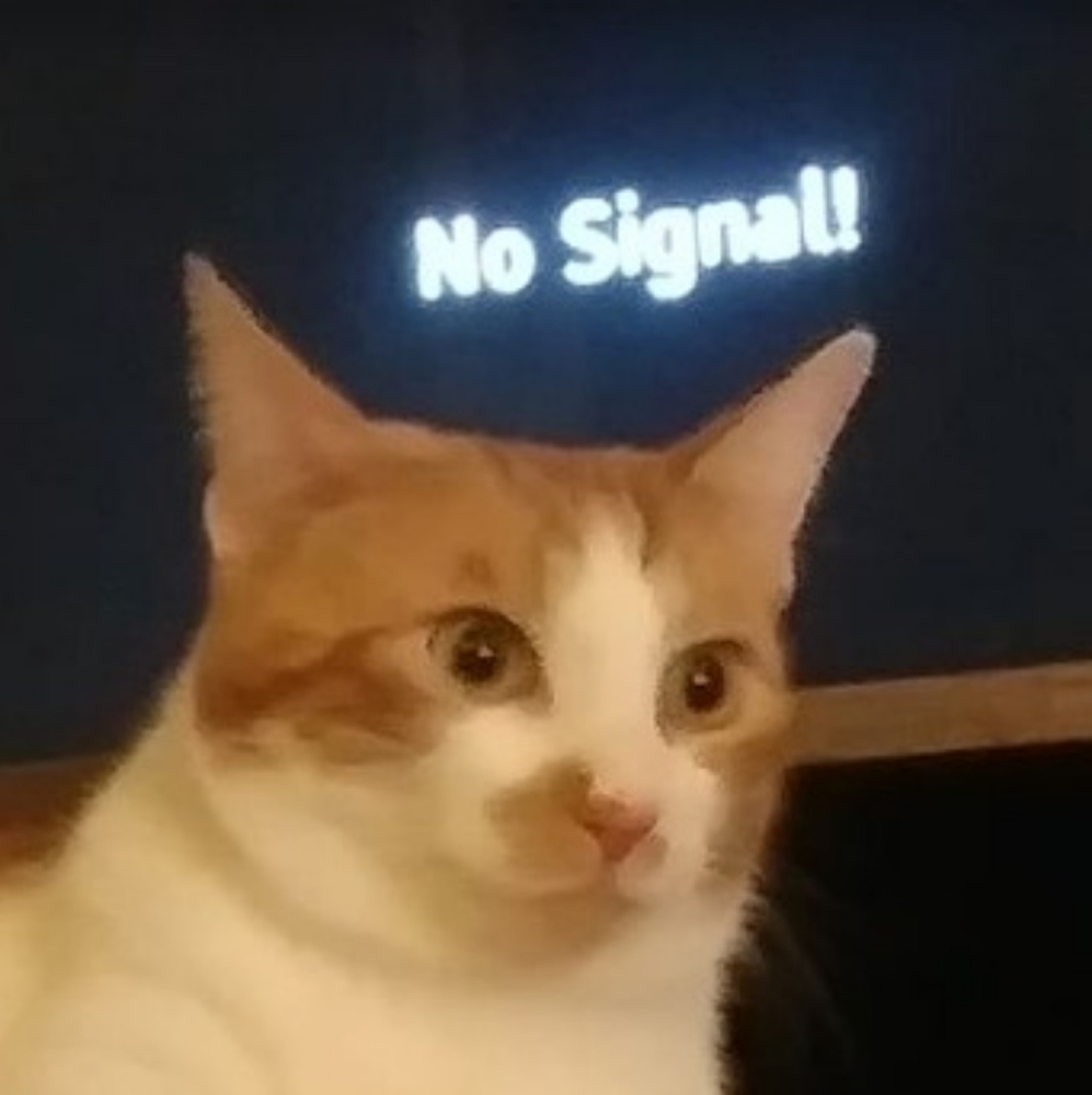 Meet your Posher, Leaf